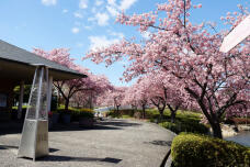 185197_3.jpg  : 125 KB