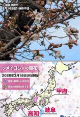 185205_1.jpg  : 243 KB