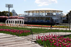 185209_3.jpg  : 124 KB