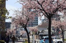 185216_1.jpg  : 184 KB