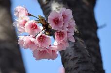 185216_2.jpg  : 63 KB