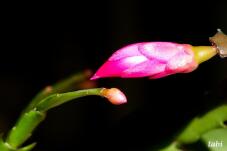 185219_5.jpg  : 28 KB