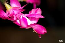 185219_7.jpg  : 42 KB