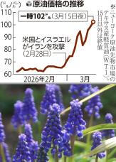 185223_2.jpg  : 140 KB