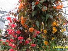 185228_3.jpg  : 93 KB