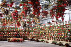 185235_1.jpg  : 181 KB