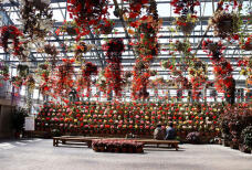 185235_2.jpg  : 180 KB