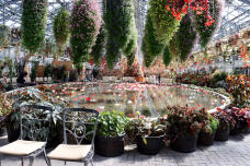 185235_3.jpg  : 167 KB