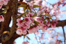 185239_3.jpg  : 108 KB