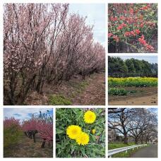 185244_1.jpg  : 153 KB