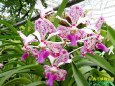 185247_1.jpg  : 78 KB