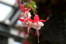 185249_3.jpg  : 47 KB