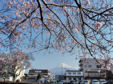 185267_1.jpg  : 457 KB