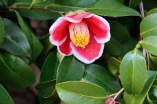 185286_1.jpg  : 62 KB