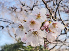 185302_1.jpg  : 168 KB