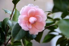 185304_1.jpg  : 46 KB