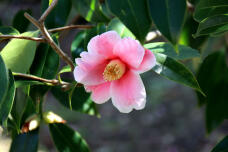 185304_3.jpg  : 55 KB