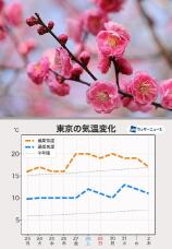 185316_2.jpg  : 97 KB