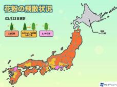 185329_1.jpg  : 52 KB