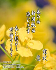 185349_1.jpg  : 194 KB