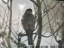 185351_1.jpg  : 97 KB