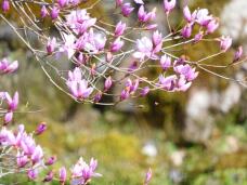 185395_2.jpg  : 163 KB