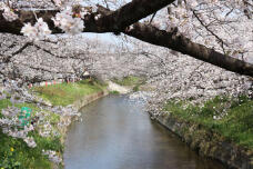 185427_2.jpg  : 138 KB