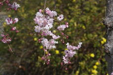 185430_3.jpg  : 137 KB