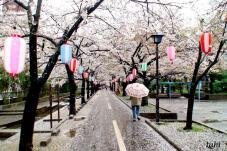 185433_1.jpg  : 78 KB