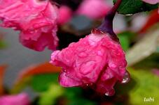 185433_10.jpg  : 46 KB