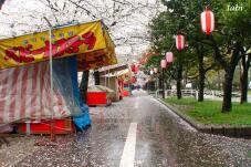 185433_2.jpg  : 74 KB