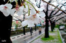 185433_3.jpg  : 56 KB