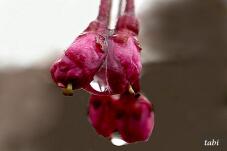 185433_9.jpg  : 50 KB