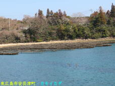 185434_3.jpg  : 64 KB