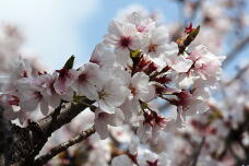 185448_3.jpg  : 125 KB