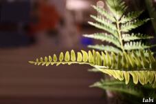 185497_7.jpg  : 35 KB