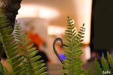 185497_8.jpg  : 67 KB