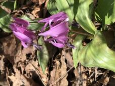 185508_1.jpg  : 98 KB