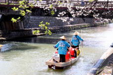 185531_3.jpg  : 128 KB