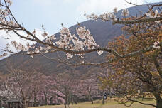 185539_1.jpg  : 256 KB