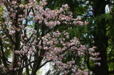 185542_1.jpg  : 89 KB