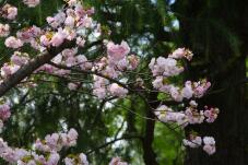 185542_2.jpg  : 87 KB