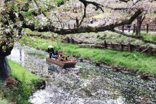 185544_2.jpg  : 311 KB