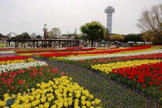 185546_2.jpg  : 225 KB