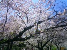 185548_2.jpg  : 121 KB