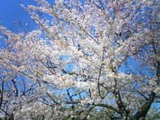 185548_3.jpg  : 121 KB