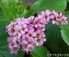 185568_1.jpg  : 40 KB