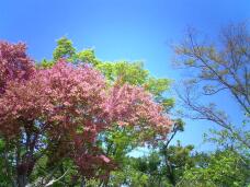 185573_1.jpg  : 132 KB