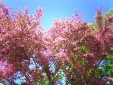 185573_2.jpg  : 129 KB