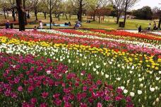 185574_2.jpg  : 205 KB